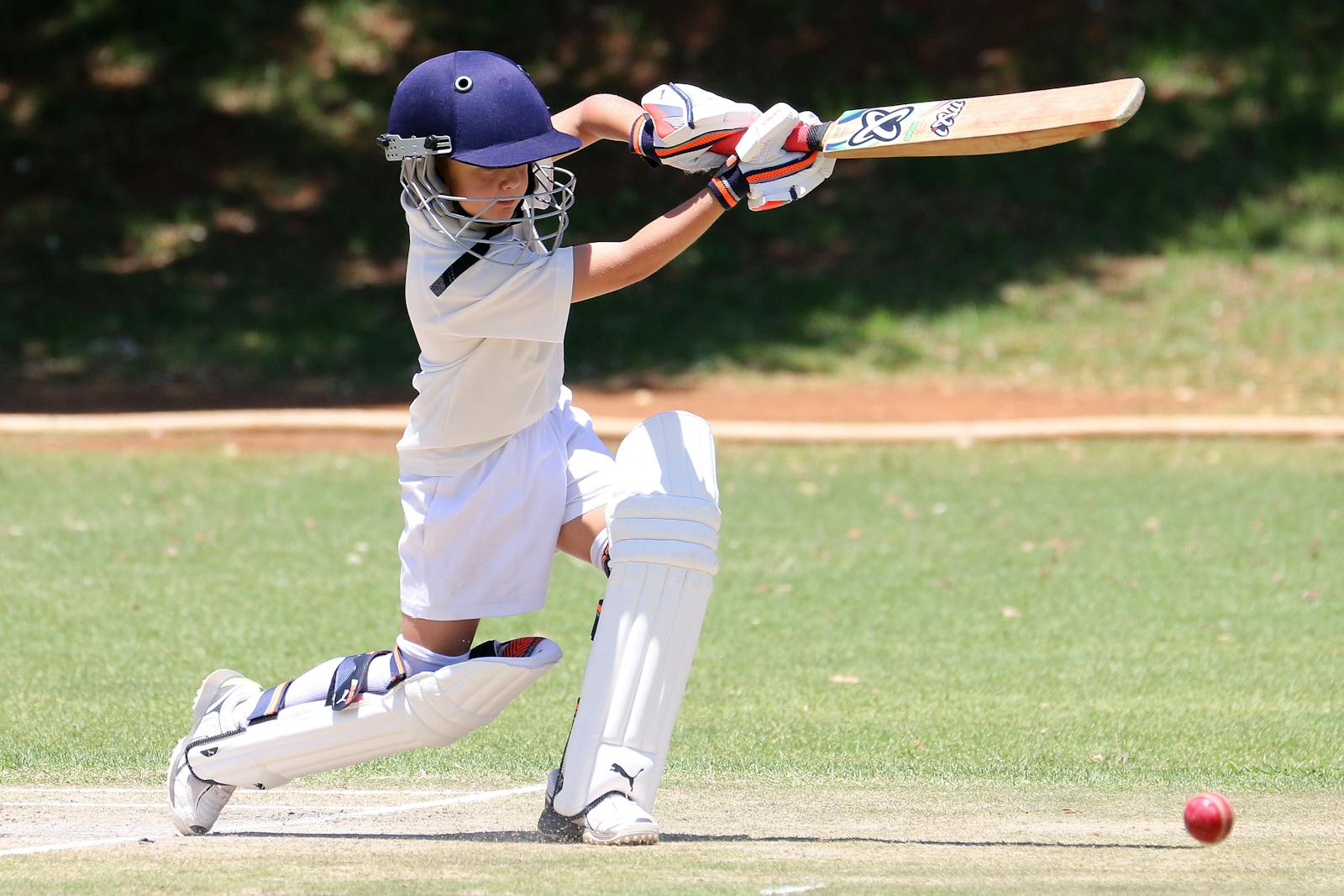 The Best Cricket Bats for Beginners